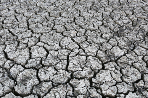 Obraz na płótnie decrease in water levels and large-scale cracking of the soil as a result of drought, soil cracking as a result of drought, w salonie