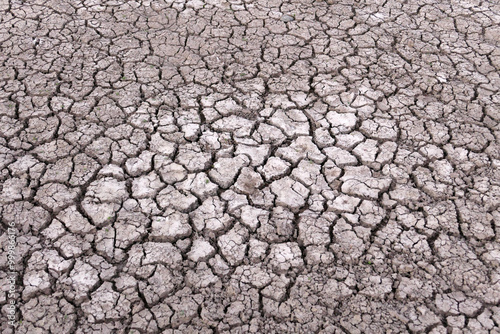 Obraz na płótnie decrease in water levels and large-scale cracking of the soil as a result of drought, soil cracking as a result of drought w salonie