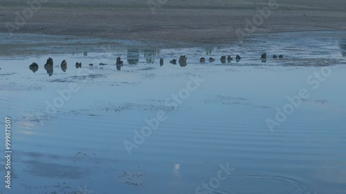 the moon silhouette falling into the lake water, the full moon silhouette reflected in the water,