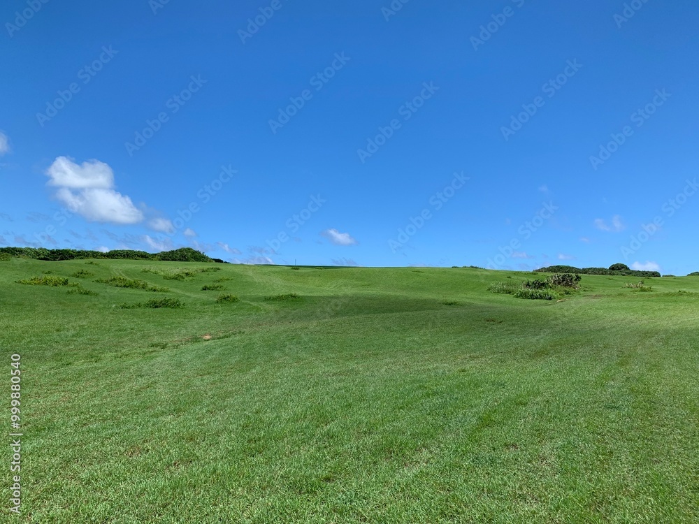 Green meadow with bright blue sky and white clouds, grass field stock photo Green meadow with bright blue sky and white clouds, grass field stock photo