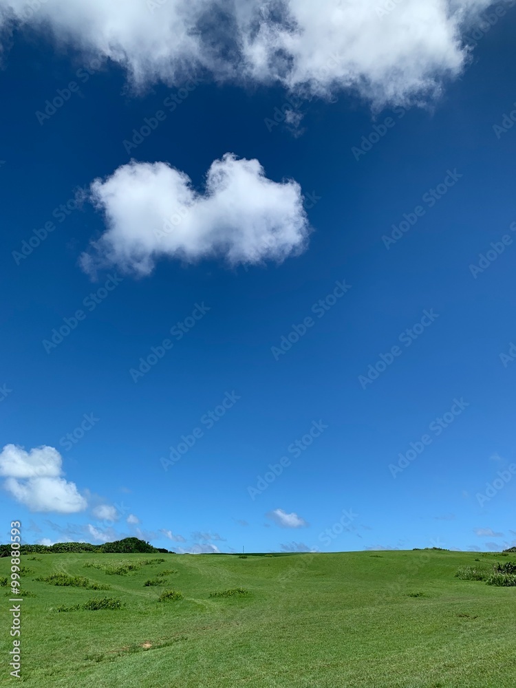 Green meadow with bright blue sky and white clouds, grass field view stock photo Green meadow with bright blue sky and white clouds, grass field view stock photo