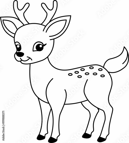 Deer
