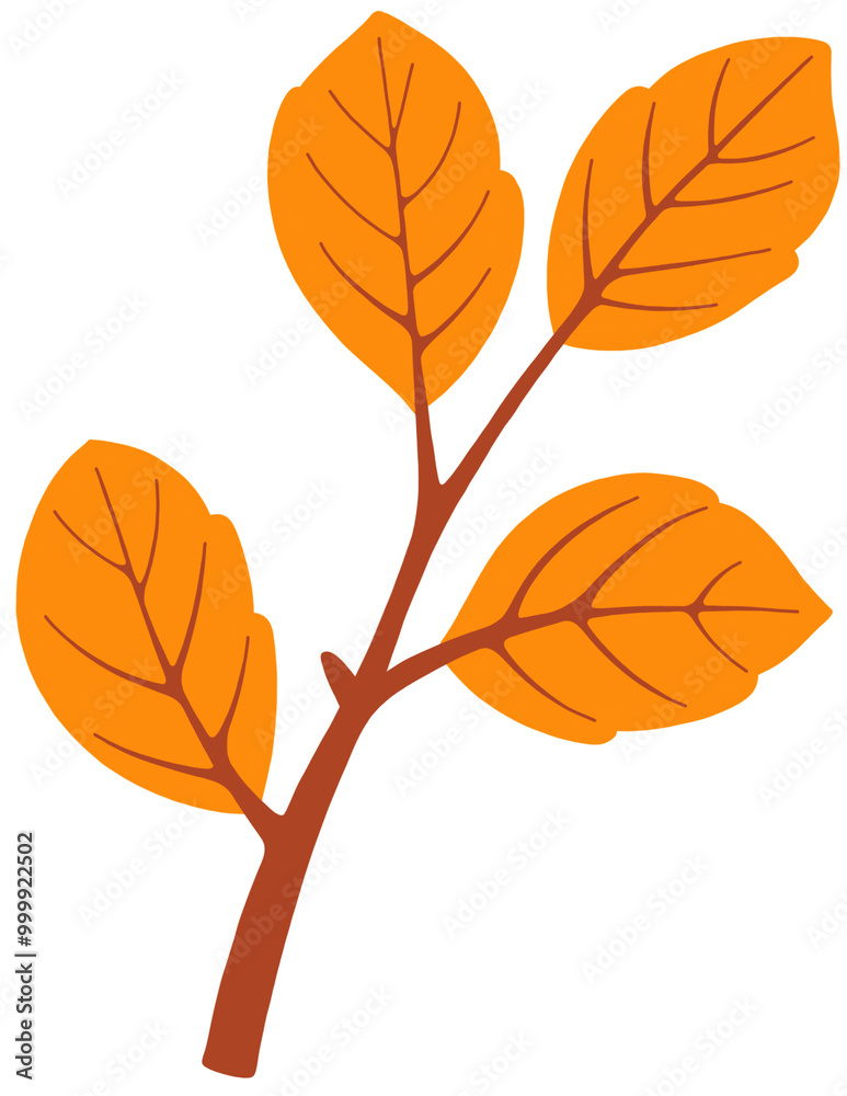 Obraz premium autumn leaf