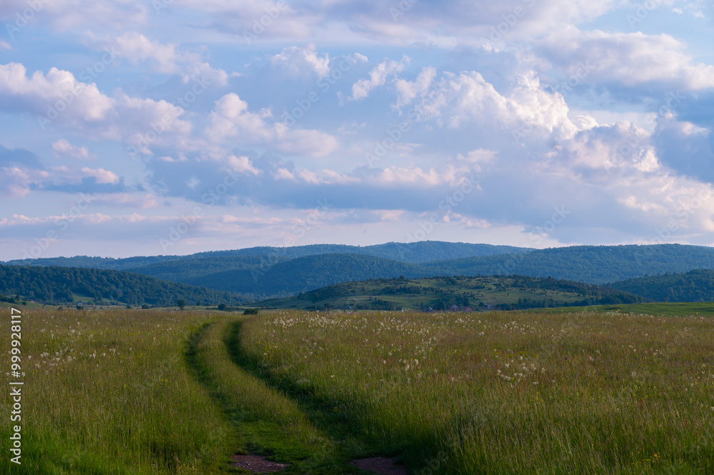Tracks through long grass in the countryside in summer, Bosnia and Herzegovina Tracks through long grass in the countryside in summer, Bosnia and Herzegovina