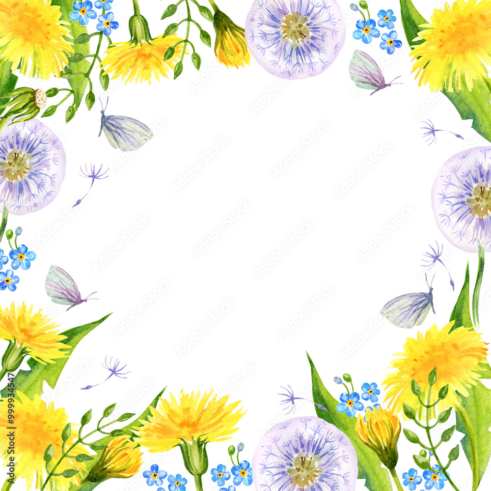 Obraz premium watercolor square frame with summer field flowers, hand draw illustration of yellow dandelions and blow balls, leaves, herbs, butterfly on white background