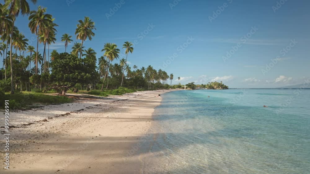 Paradise island beach with palm trees and turquoise blue water gently laps white sand shore in sunny day. Tourists enjoying tropical paradise. Remote wild nature, exotic summer travel background Paradise island beach with palm trees and turquoise blue water gently laps white sand shore in sunny day. Tourists enjoying tropical paradise. Remote wild nature, exotic summer travel background