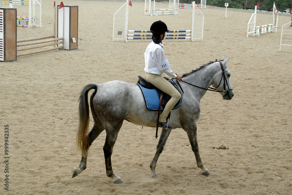 Teenage girl riding her horse at a show jumping event, Johannesburg, Gauteng, South Africa Teenage girl riding her horse at a show jumping event, Johannesburg, Gauteng, South Africa