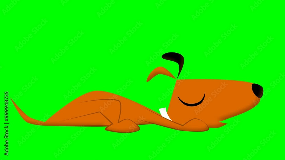 2d animated character of fox, dog, cat, hamster, rabbit, orange mouse that is sleeping and resting, has white or gray collar, dream. in green screen background chroma key. 2d animated character of fox, dog, cat, hamster, rabbit, orange mouse that is sleeping and resting, has white or gray collar, dream. in green screen background chroma key.