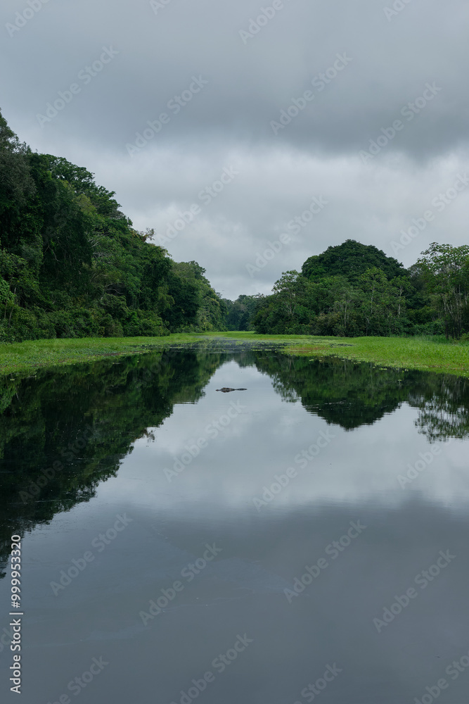 Cayman spotting in a natural reserve on Amazon river, Peru Cayman spotting in a natural reserve on Amazon river, Peru