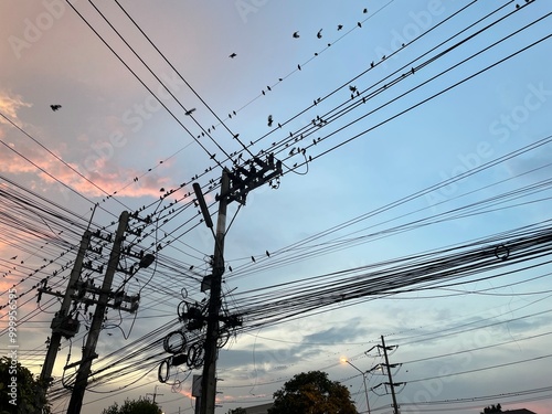 Image of an electric pole with many wires strung together and many birds perched on it.