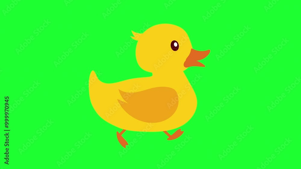 loop cute duck walking animation greenscreen, perfect for kids video loop cute duck walking animation greenscreen, perfect for kids video