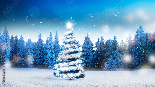 Weihnachtsbaum in verschneiter winterlandschaft mit Tannenwald