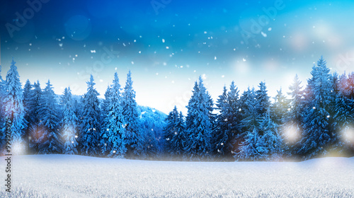 winterliche Waldlandschaft mit verschneiten Tannenbäumen,