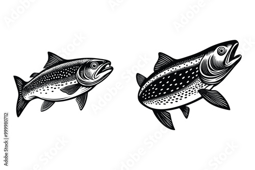 This is yellow perch fish vector illustration design 