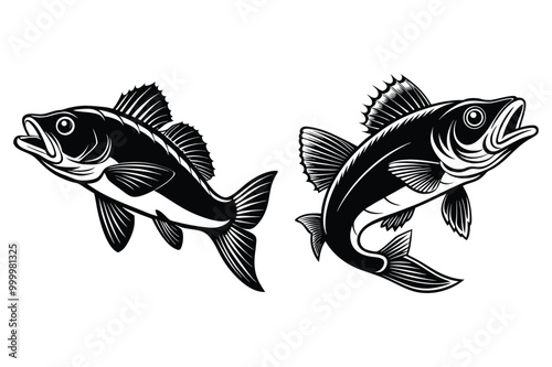 This is walleye fish vector illustration design