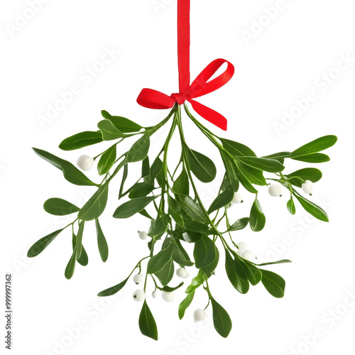 Fresh Mistletoe Bunch with Red Ribbon on White Background