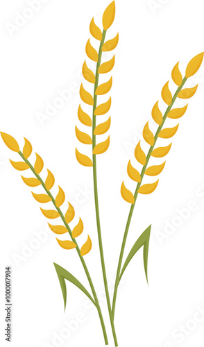 Rice Wheat cereal  graphic element flat color illustration design