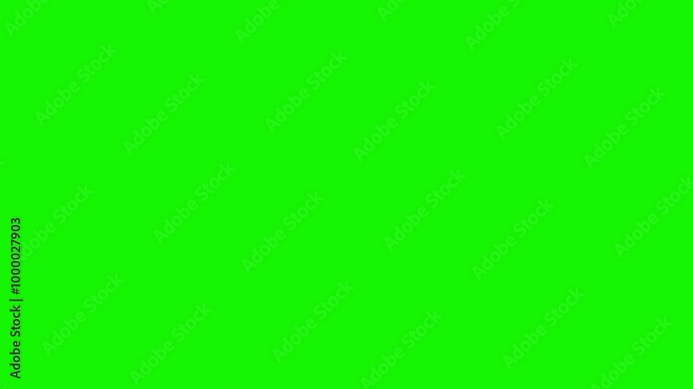 The flash light of shutter button of camera taking a picture. Green screen