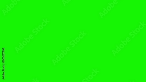 The flash light of shutter button of camera taking a picture. Green screen