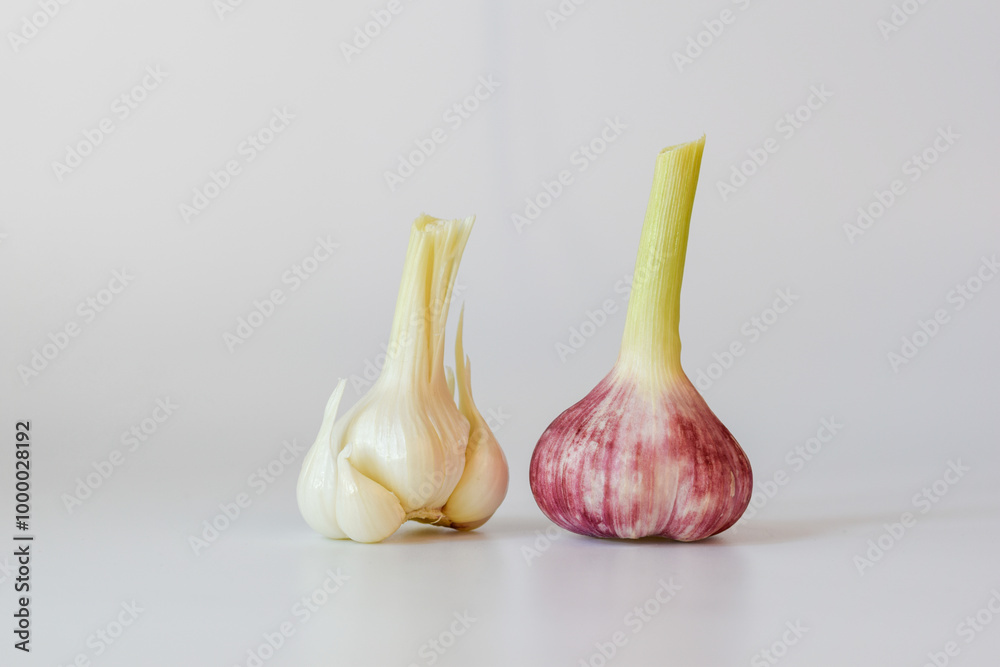 Fototapeta premium Fresh garlic on natural white background