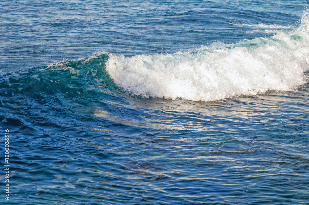 Blue Wave and White Spray on a Breaking Wave in Waikiki, Hawaii.