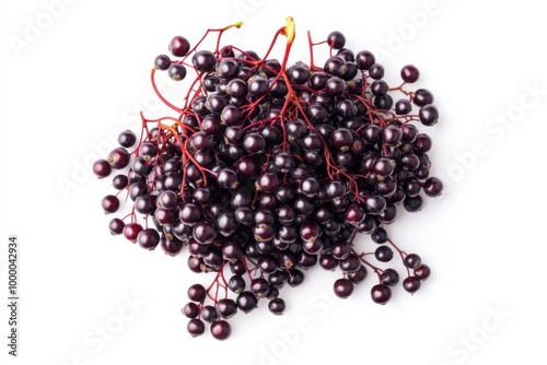 Glossy Elderberry Fruit Cluster photo