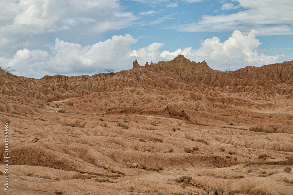 Close up of dry terrain in Tatacoa Desert, Colombia Close up of dry terrain in Tatacoa Desert, Colombia