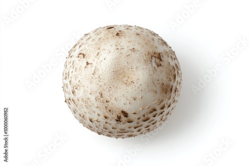 Spherical Wild Puffball Mushroom on White