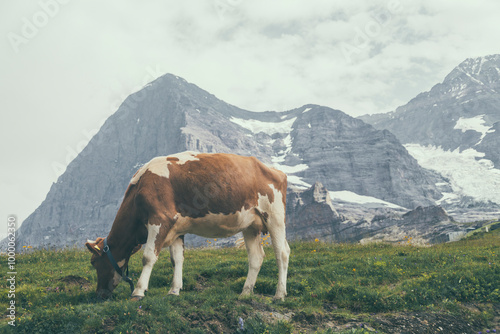 Switzerland