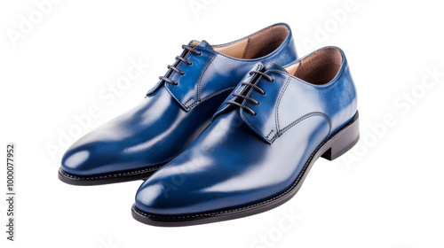 Blue Leather Dress Shoes.