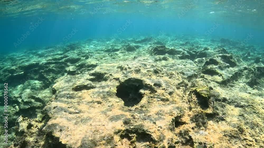 Green blue water, seascape with stones and holes, seabed with fish. Underwater video from snorkeling. Adventure trip, travel video. Fish and rocky landscape in the sea.