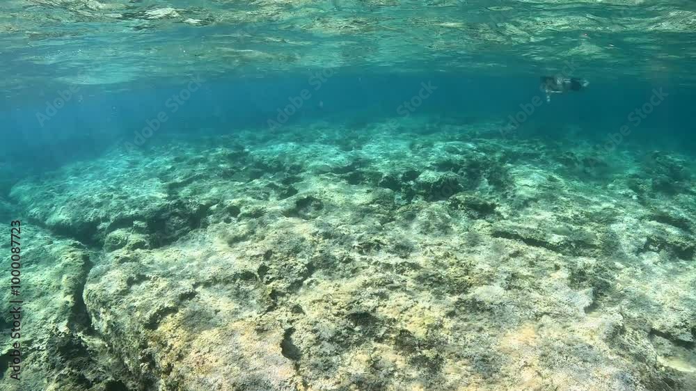 Girl snorkeling in the shallow warm green blue sea, rocky seabed and swimming fish. Seascape with stones and holes, seabed with fish. Underwater video from snorkeling. Adventure trip footage. Girl snorkeling in the shallow warm green blue sea, rocky seabed and swimming fish. Seascape with stones and holes, seabed with fish. Underwater video from snorkeling. Adventure trip footage.