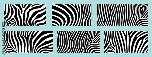 Zebra texture logo. Isolated zebra texture on white background