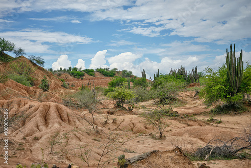 Close up of dry terrain in Tatacoa Desert, Colombia photo