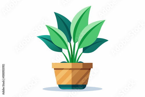 Plant and vase vector