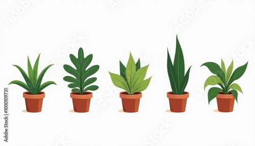  Five vibrant potted plants each unique in shape and size ready to brighten up any space