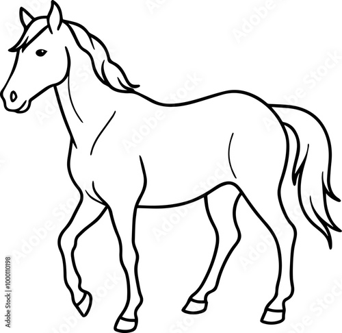 horse outline line art vector illustration