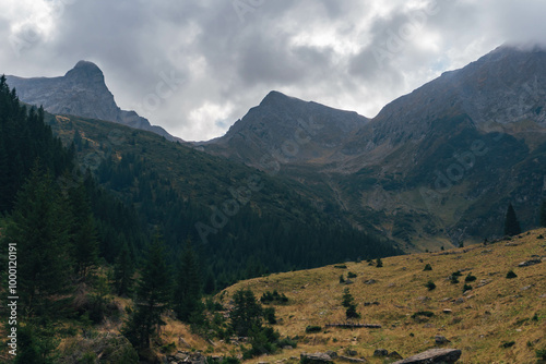 amazing beautiful landscape of rocky mountain valley with old pine trees at beginning of autumn with clouds photo