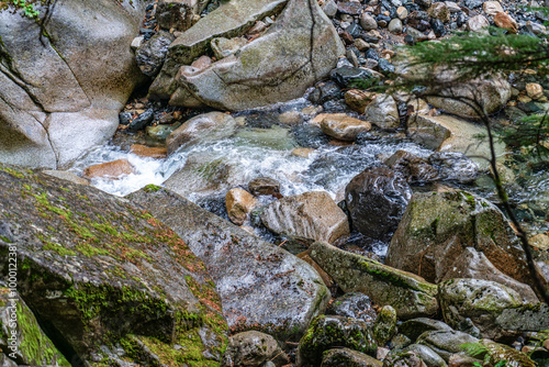 Northwest Creek Close-up