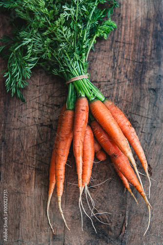 Bunch of organic dirty fresh carrots with greens close up.