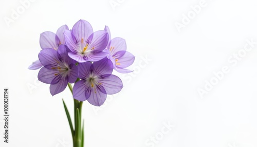  Elegance in bloom A bouquet of purple flowers