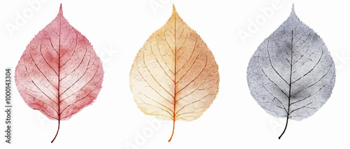 Abstract Modern Fall Leaves Postcards with Layered Design