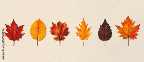 Modern Autumn Leaves Postcard Set with Fall Colors