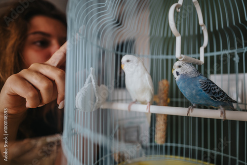 Photography A person gently interacting with two colorful birds inside a cage, showcasing a moment of care and connection in a domestic setting