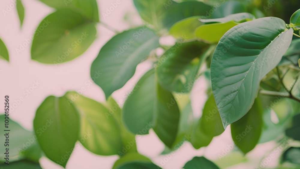 Green background with space for text input
Green background with space for text input