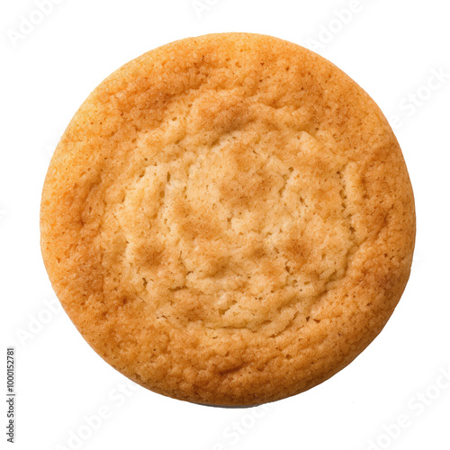  A snicker doodle cookie isolated on white background photo