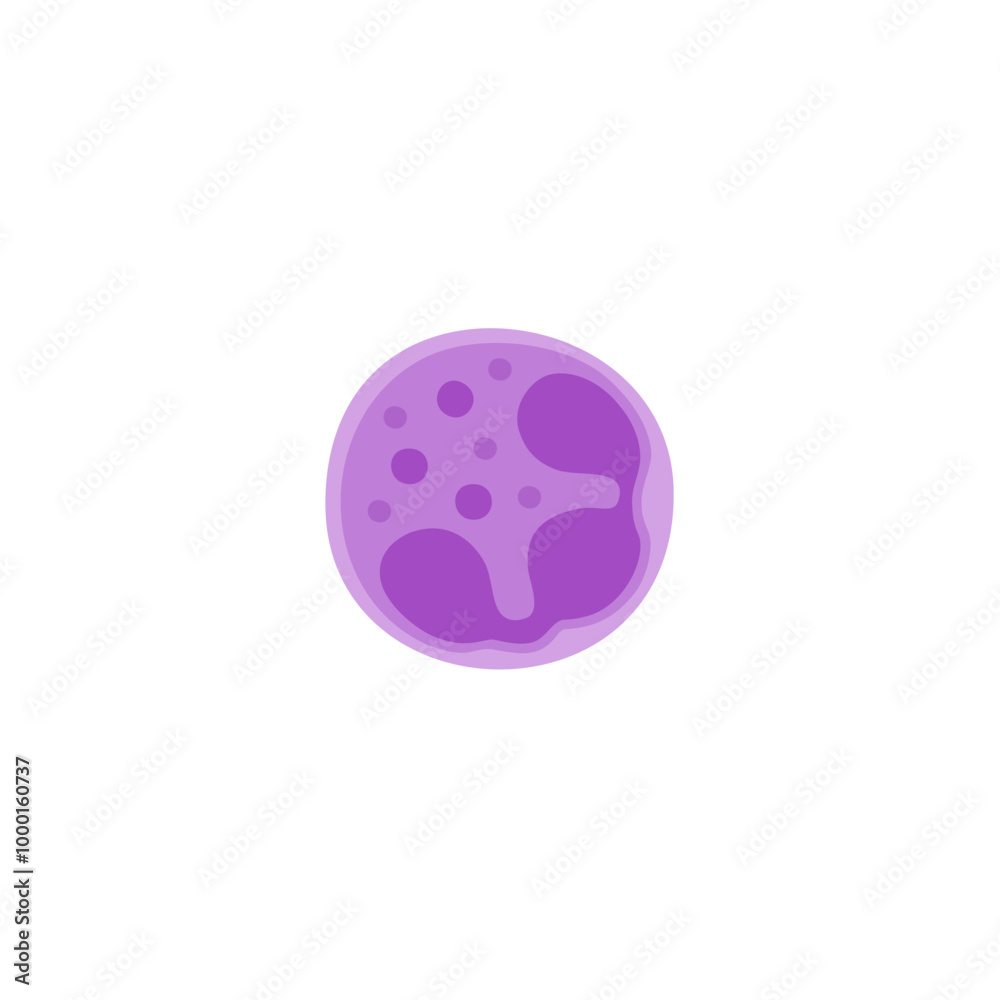 Neutrophil illustration Neutrophil illustration