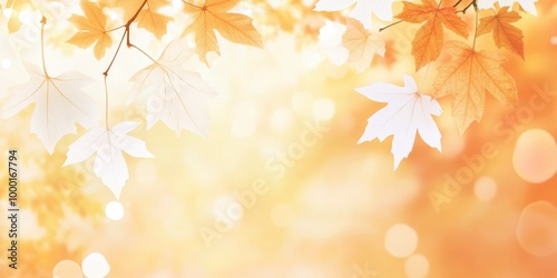 The backdrop is yellow and orange, with white leaves spread over the upper right part of the screen. photo