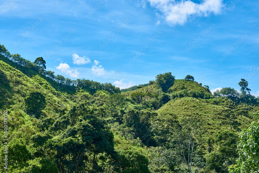 hills surrounded by green nature with blue sky and white clouds background hills surrounded by green nature with blue sky and white clouds background