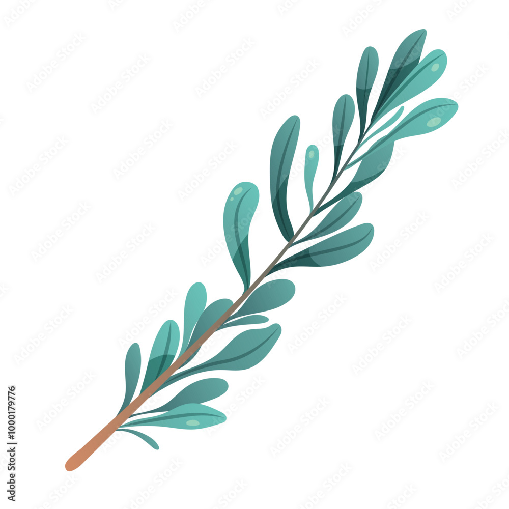 Branch on white background. Plant with rounded leaves for design. Vector isolated element Branch on white background. Plant with rounded leaves for design. Vector isolated element